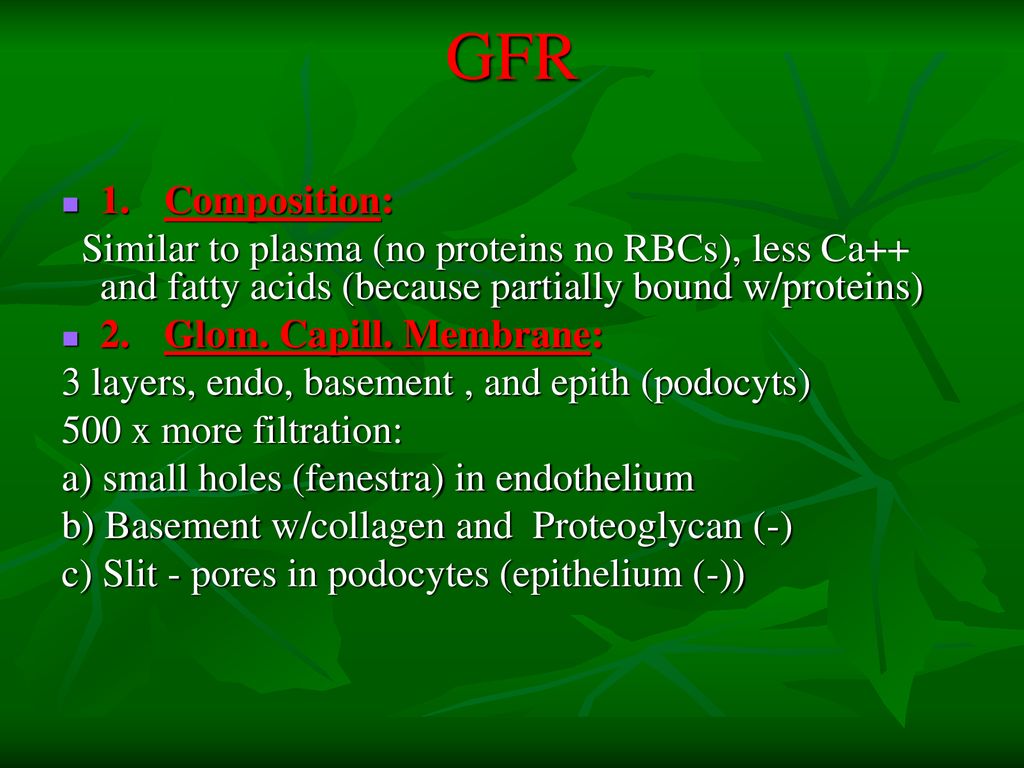 RENAL SYSTEM. - ppt download